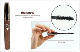 Bộ đôi Mascara và nối mi Skinfood