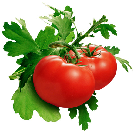 Mặt nạ cà chua dưỡng trắng Tomatox Magic White Massage Pack Tonymoly